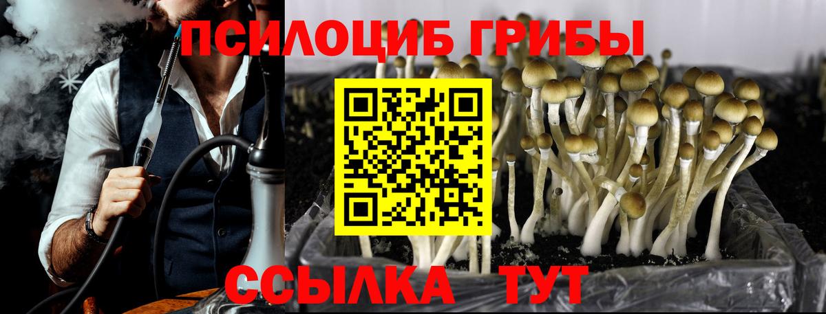Галлюциногенные грибы мицелий  Псилоцибиновые грибы MAGIC MUSHROOMS  Вход с VPN  Советская Гавань 