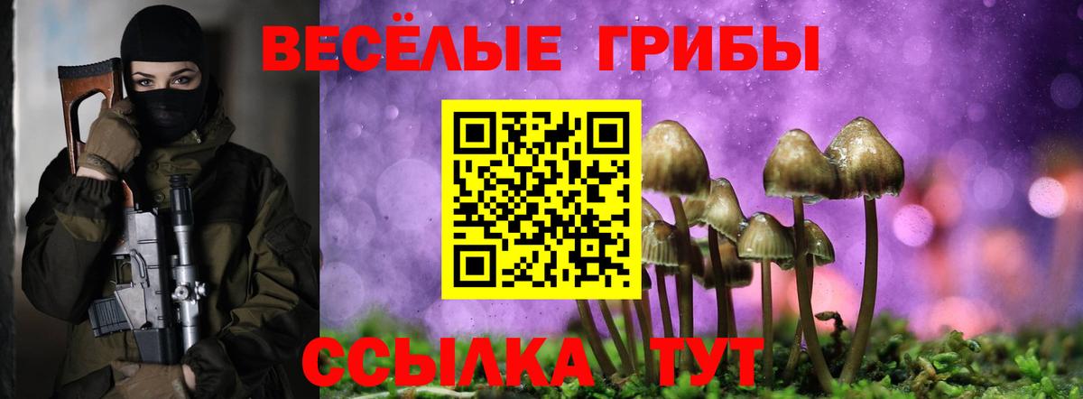 Галлюциногенные грибы Psilocybine cubensis Советская Гавань
